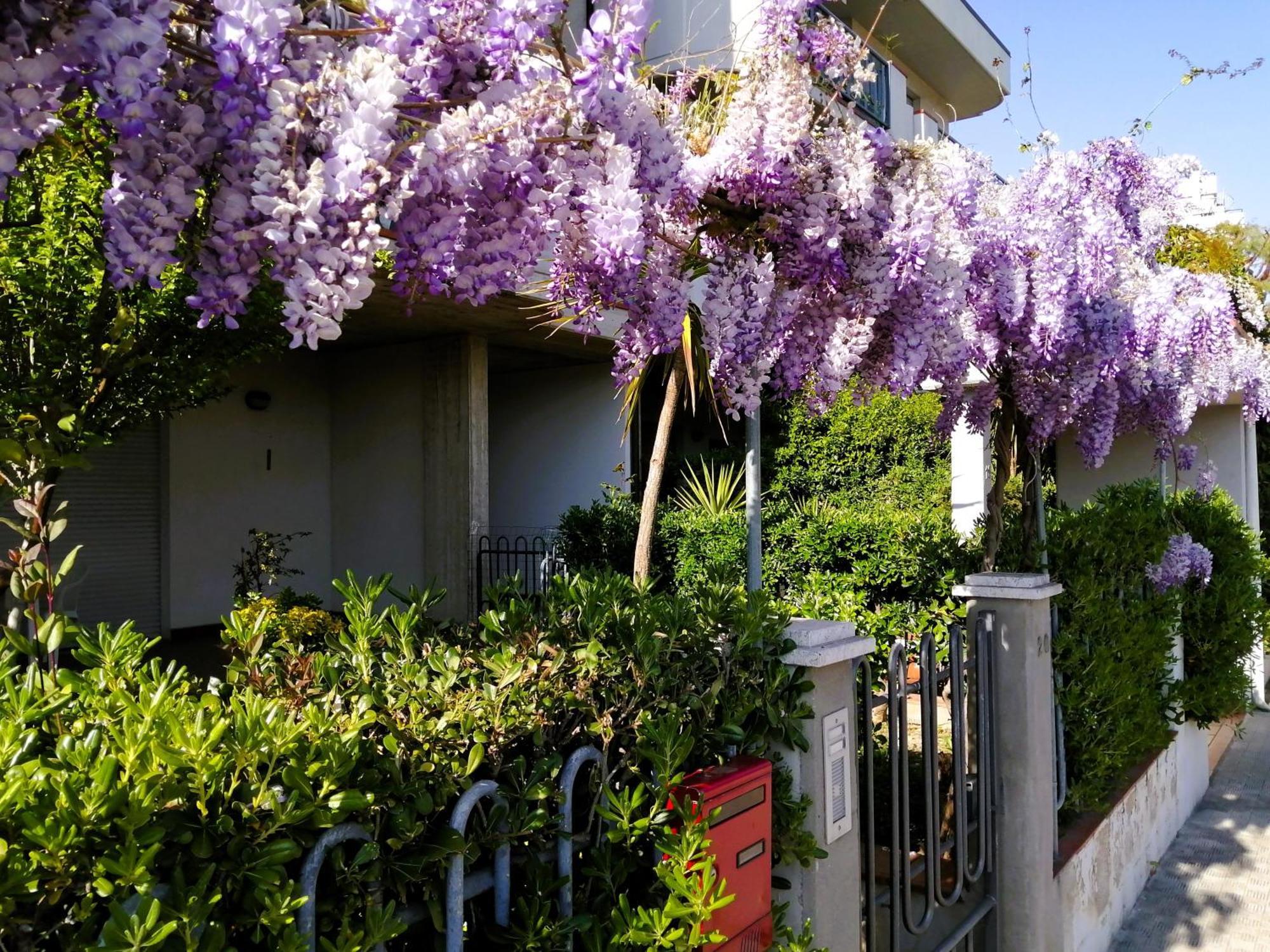 Vila Casa Di Checco San Benedetto del Tronto Exteriér fotografie